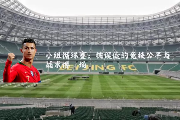 小组循环赛：被误读的竞技公平与战术博弈场