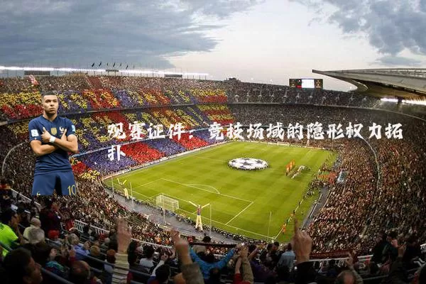 观赛证件:竞技场域的隐形权力拓扑